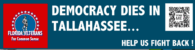 Democracy Dies in Tallahassee bumper sticker - Buy at the FLVCS Store
