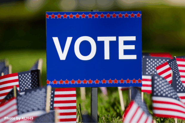 Vote yard sign with small American flags - Header image for Florida Voter Information page.