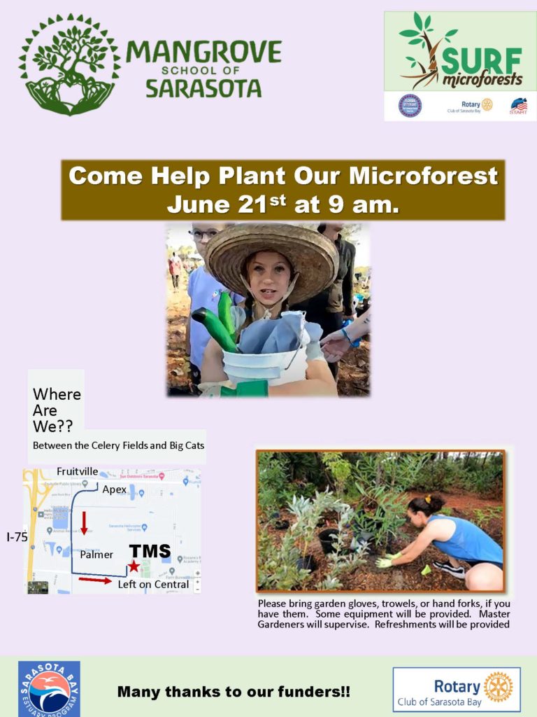 Mangrove School Planting Day @ Mangrove School of Sarasota