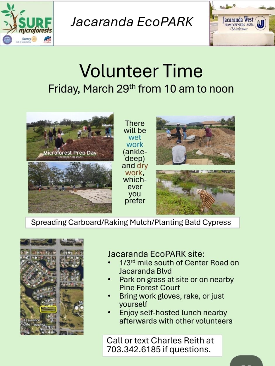 Jacaranda EcoPark Volunteer Day – March 29 @ Jacaranda EcoPARK