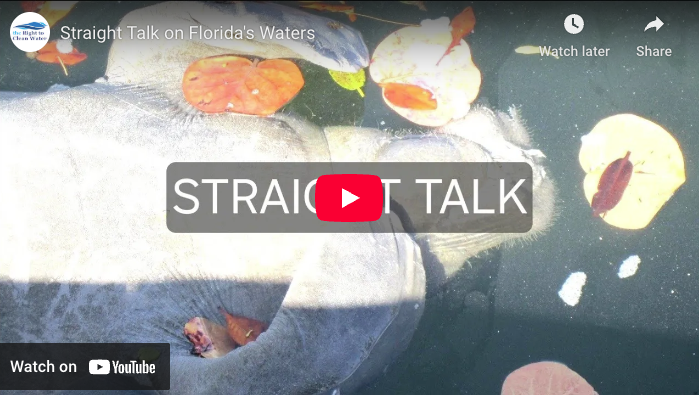 thumbnail of straight talk on florida waters youtube video