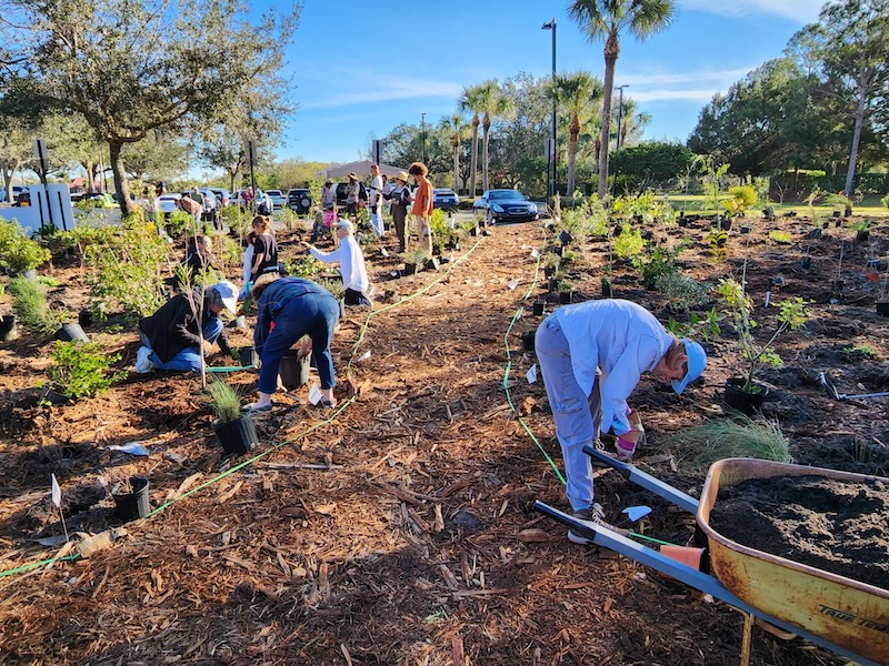 Jacaranda EcoPark Planting Event image